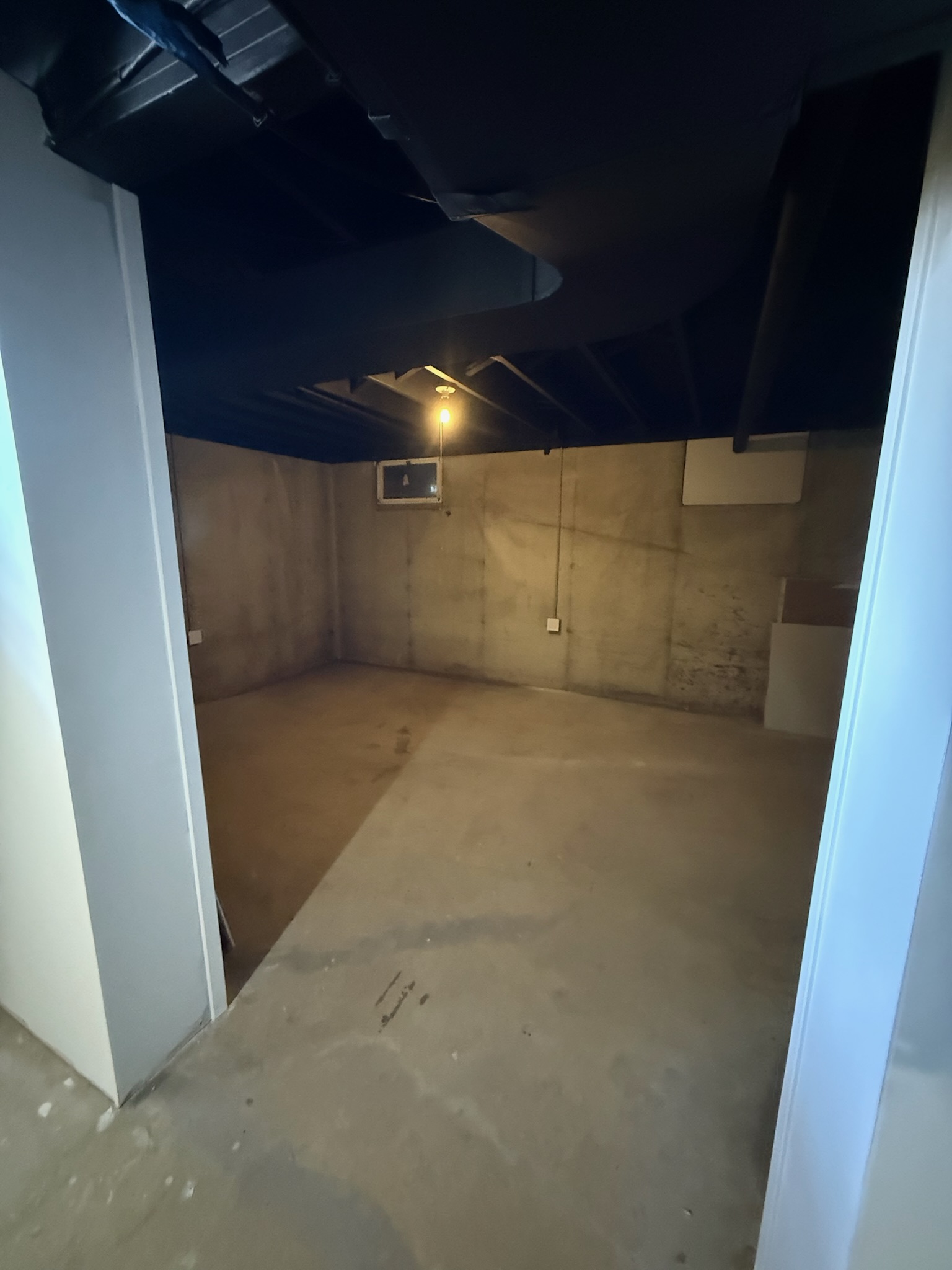 Basement Large - Photo 3